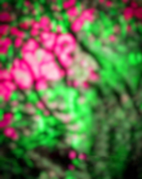 Blur CB PicsArt Editing Background HD Free Download