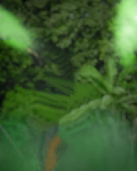 Photo Editing Free Blur Green Background CB New Images HD Walpaper