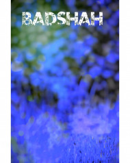 Badshah CB PicsArt Photo Editing Background Download Free