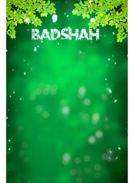 Badshsh CB Editing Background PicsArt