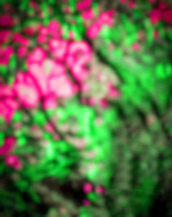 Blur CB PicsArt Editing Background HD Free Download