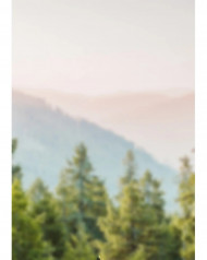 CB Editing Full HD Snapseed New Nature Background