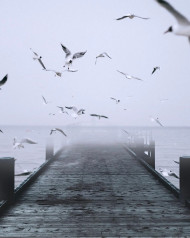 Cb Photo Editing Bakground HD Download Free Picsart