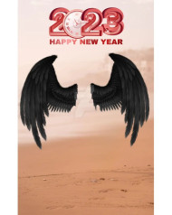 CB Photo Editing New Year 2023 Wings Background Full HD