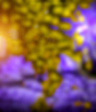 CB PicsArt New Photo Editing Blur Background Full HD