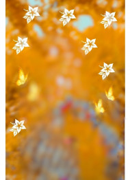 Full HD CB PicsArt Editing Background Download