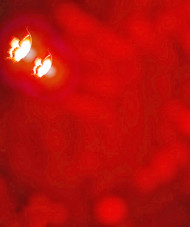 Glowing Butterfly Snapseed CB Editing Background