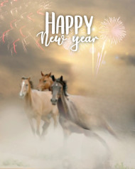 Happy New Year 2023 CB Hd Backgrounds For Editing