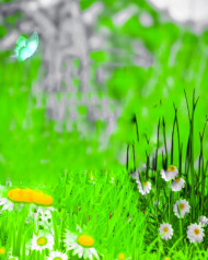 Hd Blur CB PicsArt Editing New Grass Background