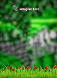Instagram love CB PicsArt Editing Green Nature Background