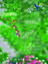 Nature Birds CB PicsArt Editing Green Background Download