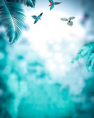 Parrot CB Editing Snapseed HD Background Download