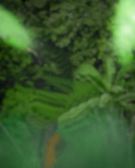 Photo Editing Free Blur Green Background CB New Images HD Walpaper