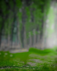 Photo Editing Free Green Blur Background CB New Images HD Walpapers