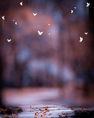 Realstic Blur CB PicsArt Editing Background Download