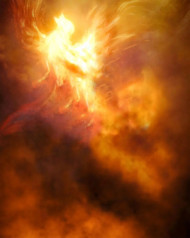 Snapseed Background Full HD For Photo Editing