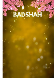Snapseed Badshah CB Photo Editing Background HD