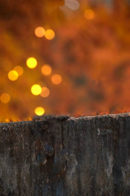 Viral Editor Blur Orange Background HD Free Wallpaper Images